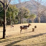 サンベルグラビアカントリー倶楽部 - 