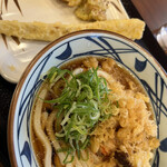 Marugame Seimen - 