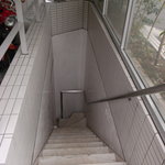 カメレオン - カメレオン