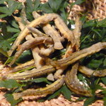 Restaurant Satoshi.F - ドアップ