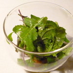 Restaurant Satoshi.F - 井深さんと梶谷さんの有機野菜のサラダ