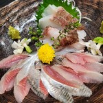 Kintarou Zushi - 