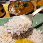 ゼロワンカレーA.o.D - レッドマッタライス