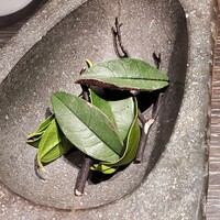L'EAU - 