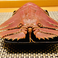 仁 - ◎下関で多く水揚げされるウチワ海老。