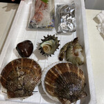 小田原さかなセンター - 