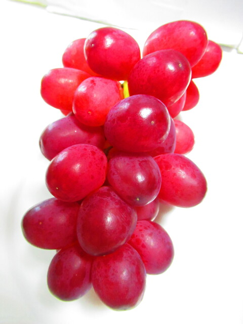 みやぎ生協 南光台店 - 黒松（コンビニ・スーパー）の写真