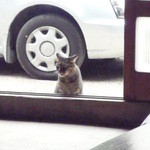 ふみえはらはん - 