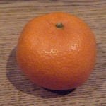 柳家 - 2012年1月