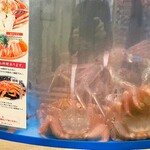 かに道楽 - 活きてます（2021年12月）