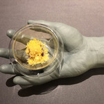 プレゼンテ スギ - 