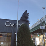 Chat noir - 