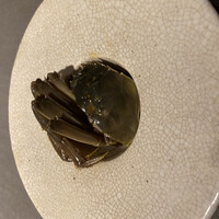 茶禅華 - 