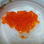 さしみ屋 佐賀山 - 