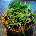 柚子屋旅館・一心居 - 鮎の塩焼き
      