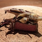 ひまわり食堂 - 