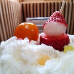 埜庵 - サンタさん