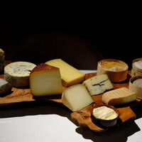 l'elan - 