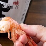 笑うだるま - 