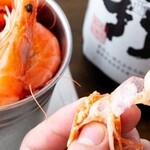 笑うだるま - 