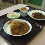 東北大学片平キャンパス北門食堂 - チキンカレー367円とハヤシライス378円。