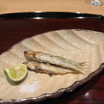 御幸町 田がわ - 