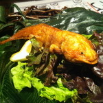 珍獣屋 - ウーパールーパー1本揚げ　1.280円