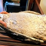 スモールワンダーランド - 南伊豆産天然青首鴨です