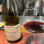 イル アオヤマ - 