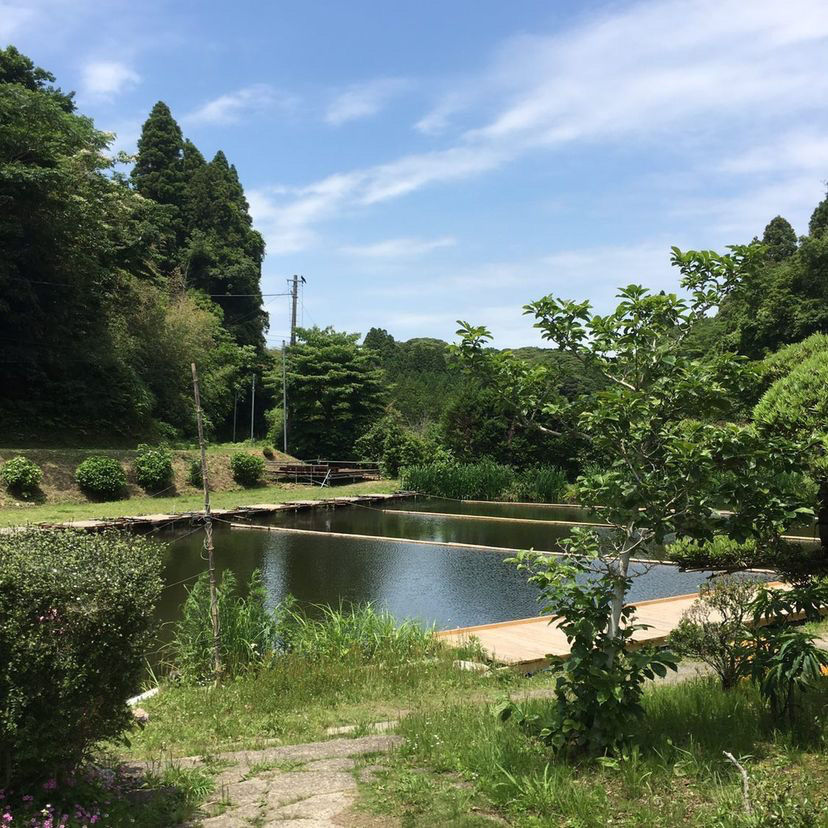 とり亀 つり堀店
