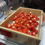 ストロベリーフェチ - 