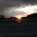 さかなどころ ともさき - 