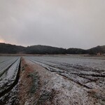 さかなどころ ともさき - 