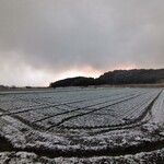 さかなどころ ともさき - 