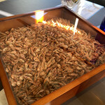 プレゼンテ スギ - 