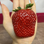 姫路ハートフル観光農園 - 