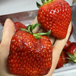 姫路ハートフル観光農園 - 