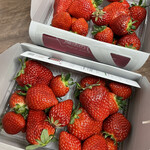 姫路ハートフル観光農園 - 