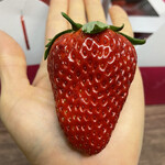 姫路ハートフル観光農園 - 