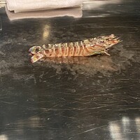 鉄板焼 ちゃやまち - 2.車エビ