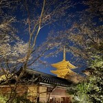 THE SODOH HIGASHIYAMA KYOTO - 夜の庭園