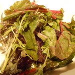 サンパ - 有機野菜のサラダ