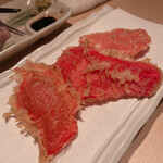 Tempura To Wain Ooshio - 