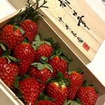 スガラボヴィー - 