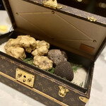 スガラボヴィー - 