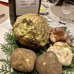 スガラボヴィー - 