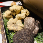 スガラボヴィー - 