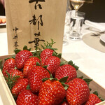 スガラボヴィー - 