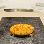 スガラボヴィー - 