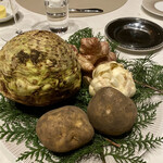 スガラボヴィー - 